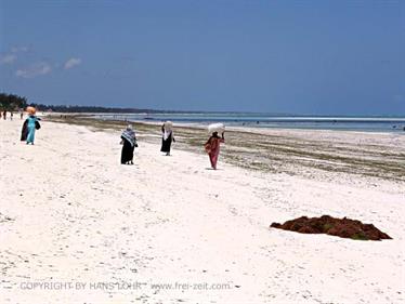 Beach walk, Zanzibar, DSC07174b